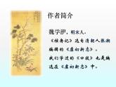 （教案课件）人教版八年级下册语文同步教案：11核舟记（1）
