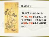 （教案课件）人教版八年级下册语文同步教案：11核舟记（2）