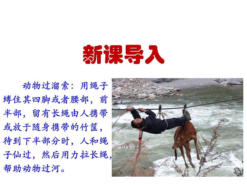 （教案课件）人教版九年级下册语文同步教案：7《溜索》（1）第4页