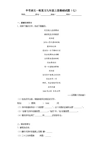 中考语文一轮复习九年级上册基础试题（七）