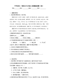 中考语文一轮复习九年级上册基础试题（四）