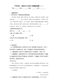 中考语文一轮复习九年级下册基础试题（一）