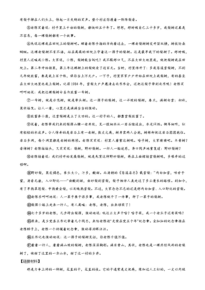 第27讲 句段的作用（练习）-2024年中考语文一轮复习讲义+练习（全国通用）03