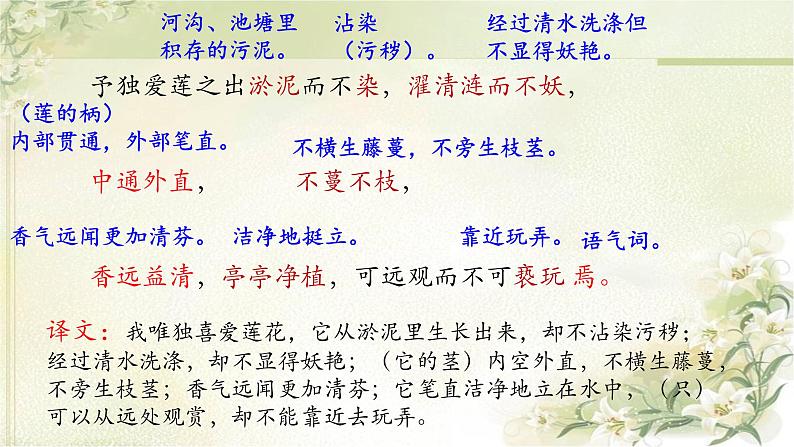 第17课《爱莲说》课件2023-2024学年统编版语文七年级下册第7页