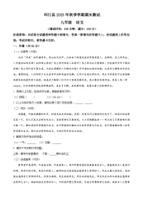 广西河池环江县2023-2024学年九年级上学期期末语文试题（原卷版+解析版）