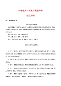 中考语文一轮复习题型专练 标点符号（含解析）