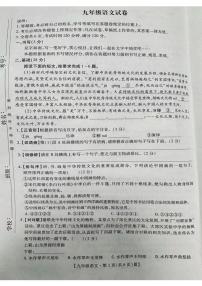 2024年广东省深圳市深中体系联考中考一模语文试题
