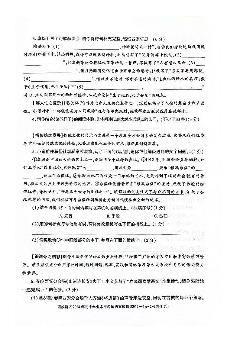 2024年陕西省西安市西咸新区校联考中考一模语文试题02
