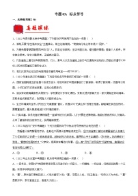 中考语文一轮复习通关检测专题03：标点符号（含解析）