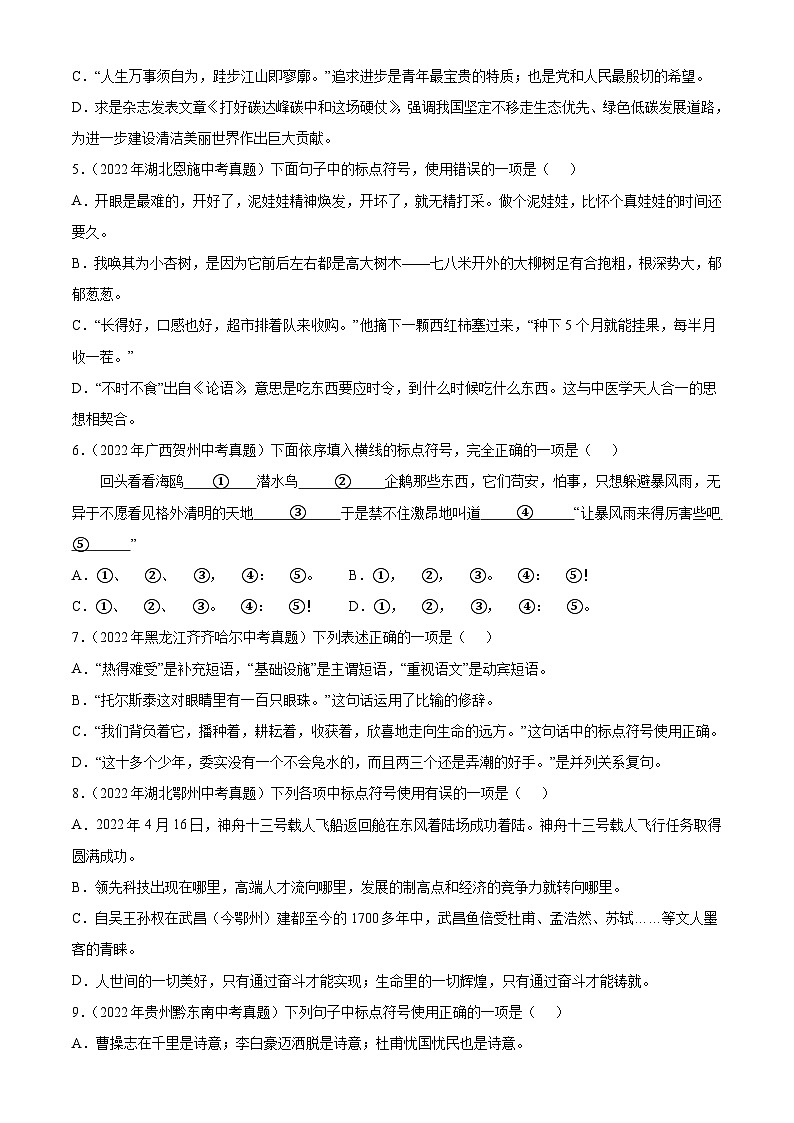 中考语文一轮复习通关检测专题03：标点符号（含解析）第2页