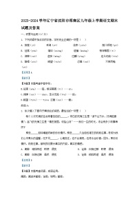 2023-2024学年辽宁省沈阳市浑南区九年级上学期语文期末试题及答案