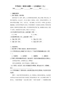 中考语文一轮复习试题——七年级练习（九）