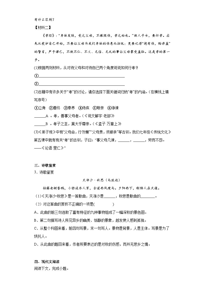 中考语文一轮复习试题——七年级练习（十）第2页