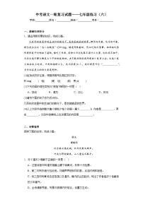 中考语文一轮复习试题——七年级练习（六）