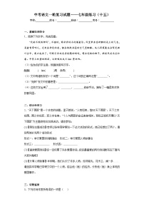中考语文一轮复习试题——七年级练习（十五）