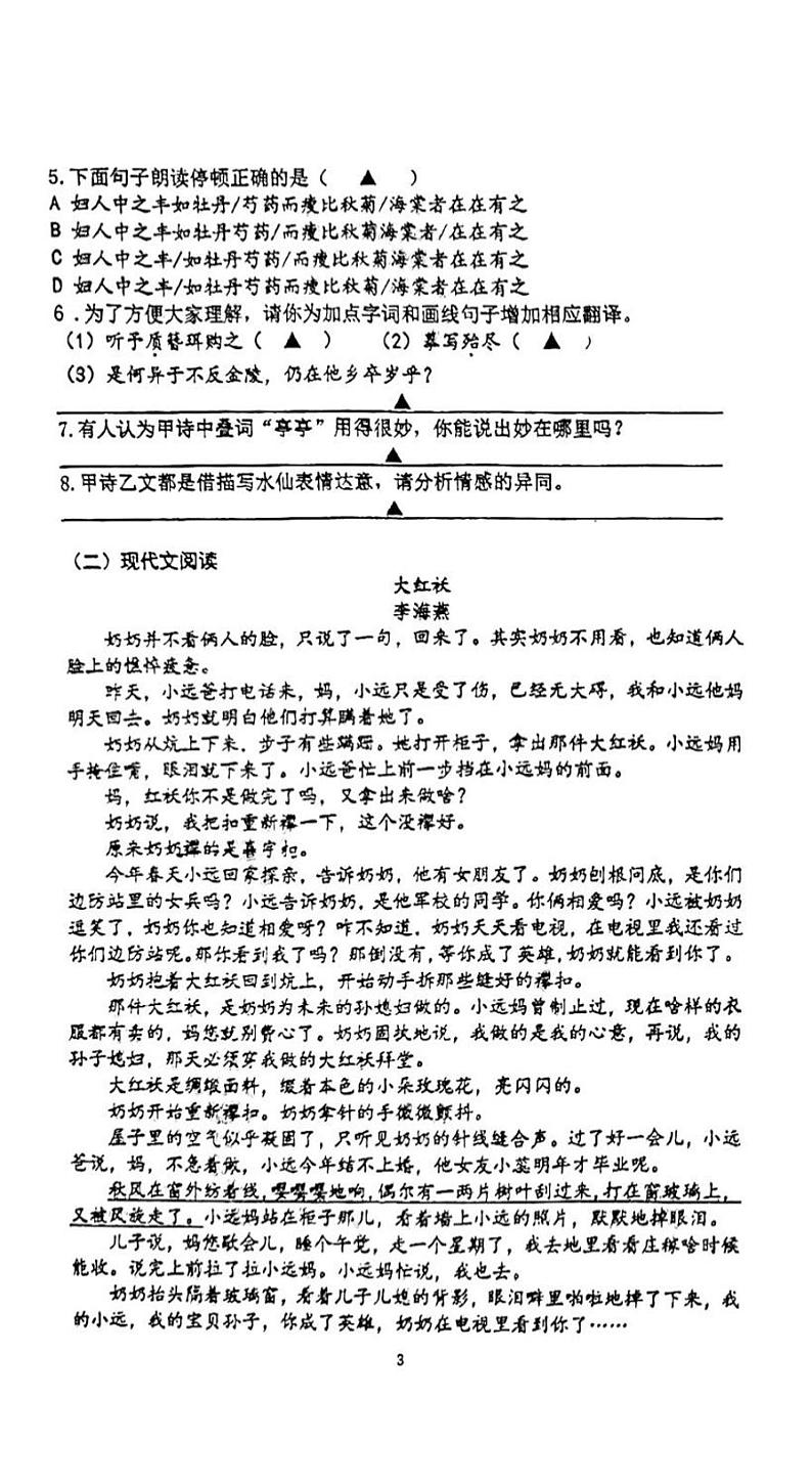 2024年江苏省南京市第一中学集团中考一模语文试题03