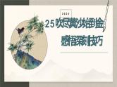 2024中考语文复习专项习作作文写作技巧专题（授课课件+范文实例）之25
