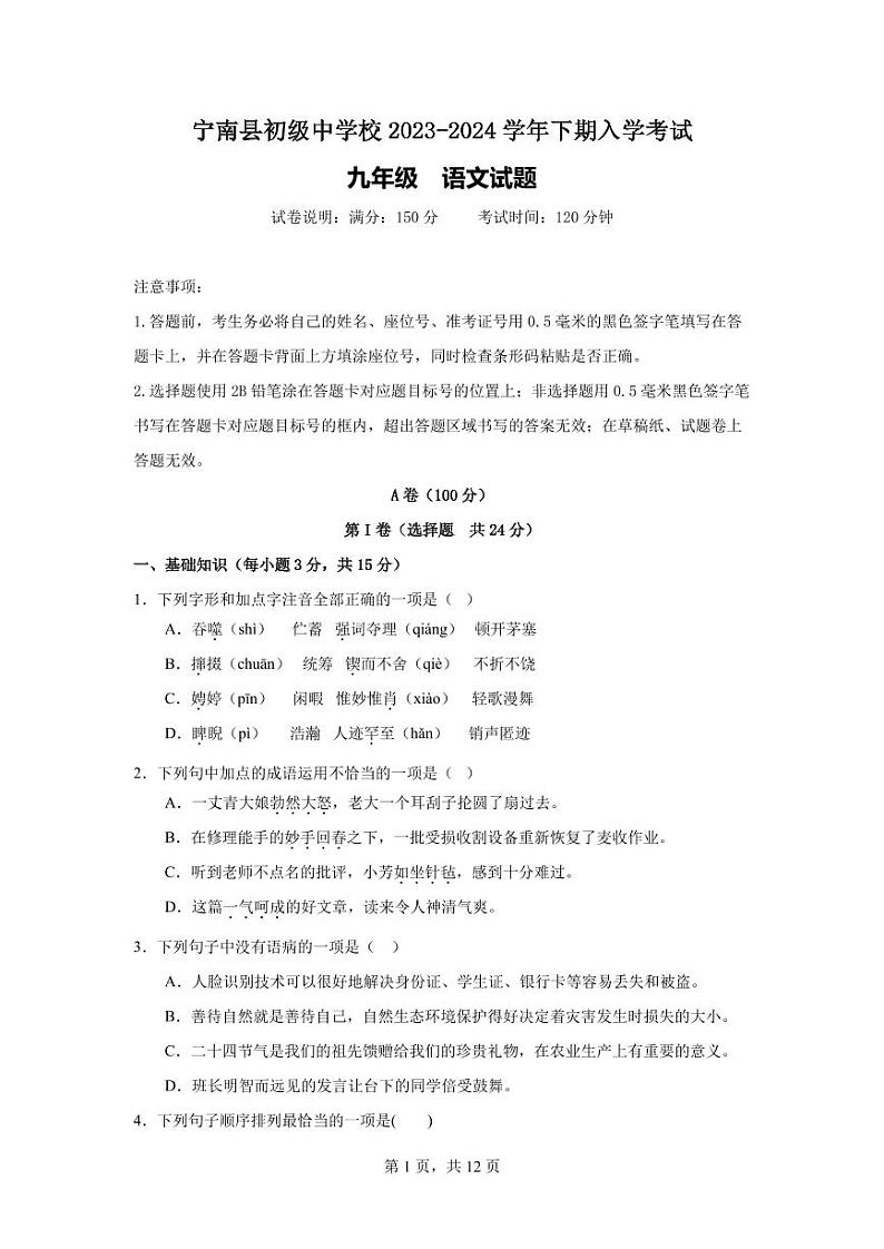 四川省凉山州宁南县初级中学校2023-2024学年九年级下学期开学考试语文试题01