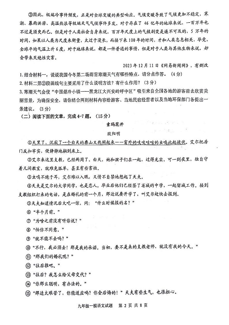 2024年四川省泸州市泸县中考一模语文试题第2页