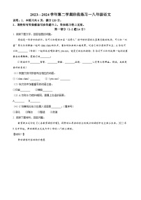 河北省邢台市2023-2024学年八年级下学期3月月考语文试题（原卷版+解析版）
