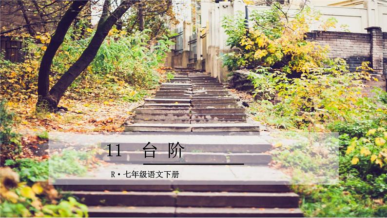 第12课《台阶》课件+2023—2024学年统编版语文七年级下册第1页