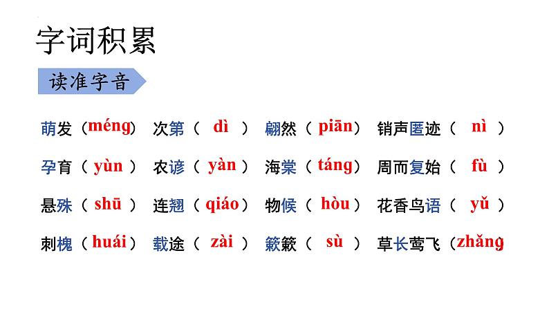 第5课《大自然的语言》课件+2023—2024学年统编版语文八年级下册第4页