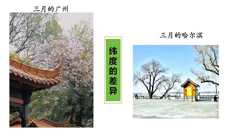 第5课《大自然的语言》课件+2023—2024学年统编版语文八年级下册第7页