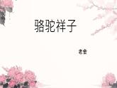 名著导读《骆驼祥子》：圈点与批注  课件PPT