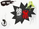 16 《猫》郑振铎 课件