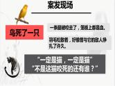 16 《猫》郑振铎 课件