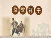 名著导读《骆驼祥子》梳理练习 PPT
