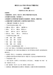 2024年四川省南充市中考一模语文试题（原卷版+解析版）