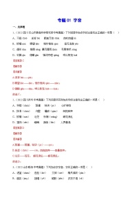 中考语文一轮复习考点精讲精练专项汇编专题01 字音(考点训练)（含解析）