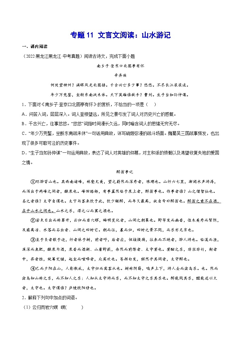 中考语文一轮复习考点精讲精练专项汇编专题11 文言文阅读：山水游记（含解析）01