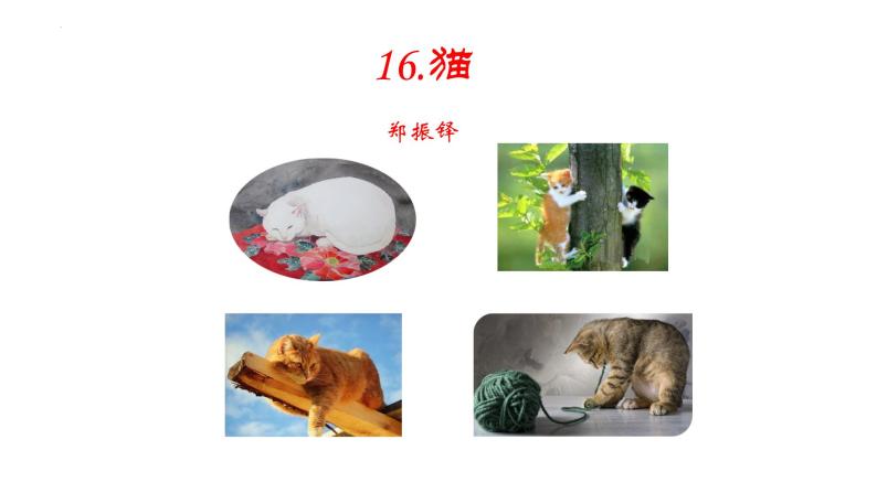 第16课《猫》课件+2023—2024学年统编版语文七年级上册01