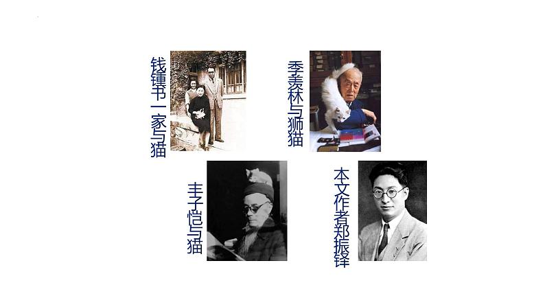 第16课《猫》课件+2023—2024学年统编版语文七年级上册第2页