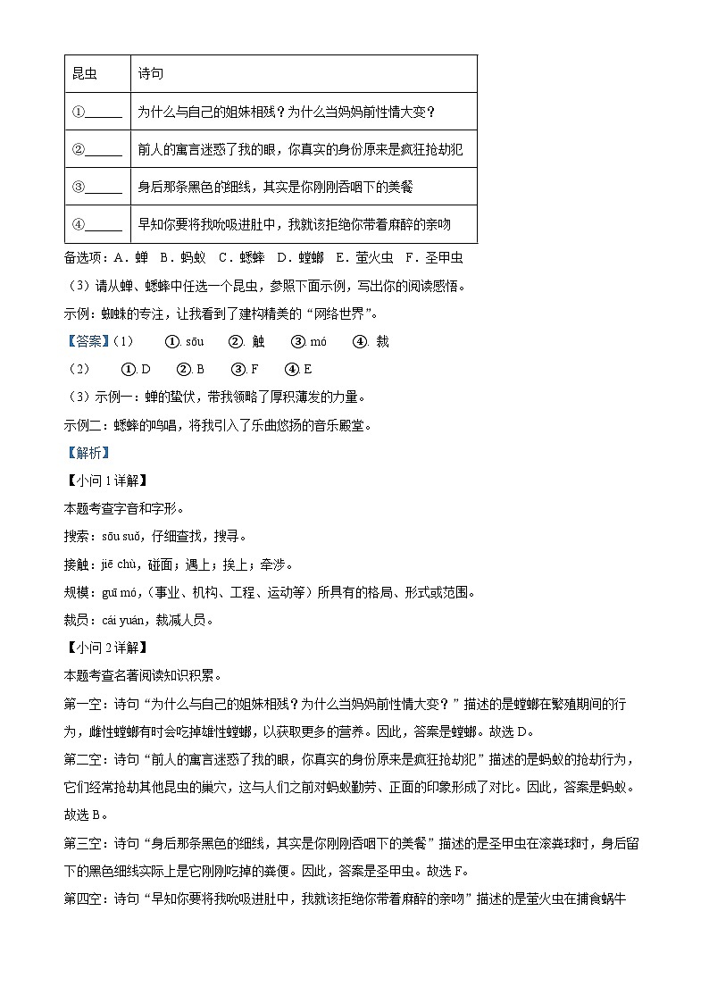 2024年安徽省阜阳市部分学校中考一模语文试题（原卷版+解析版）02