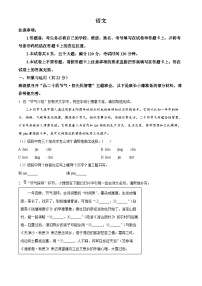 2024年河南省新乡市中考一模语文试题（原卷版+解析版）
