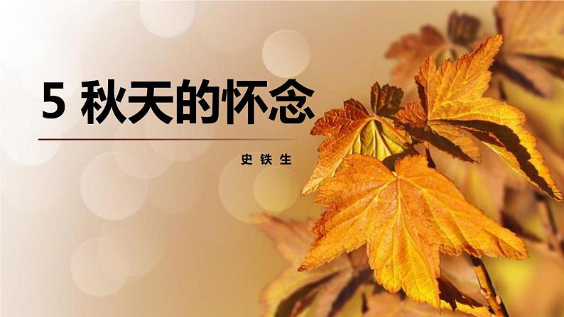 第5课《秋天的怀念》课件+2023—2024学年统编版语文七年级上册01