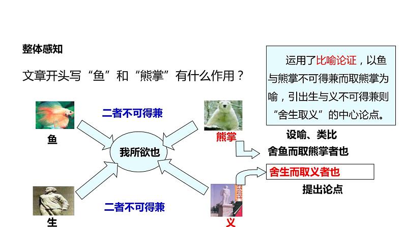 鱼我所欲也PPT课件5第7页