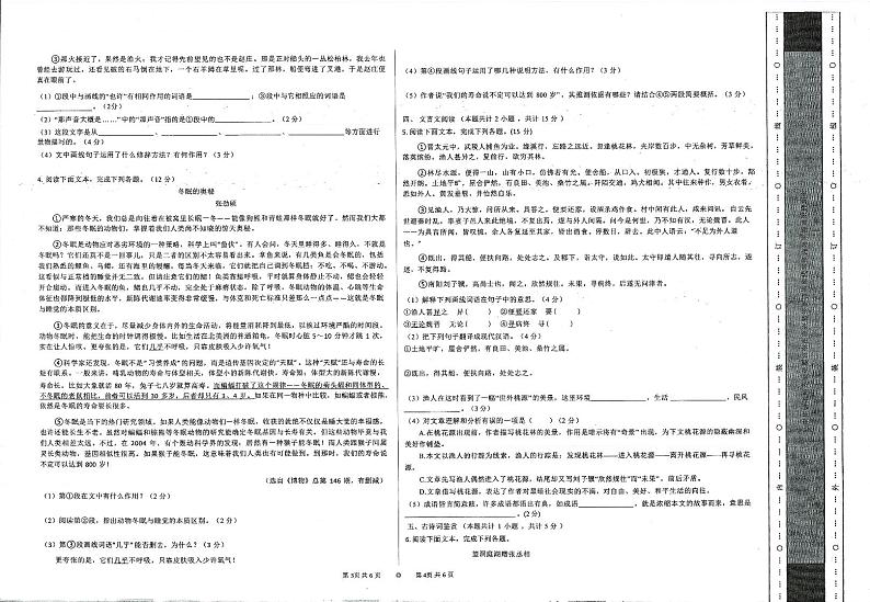 甘肃省定西市岷县2023-2024学年八年级下学期第一次教学质量检测语文试卷02
