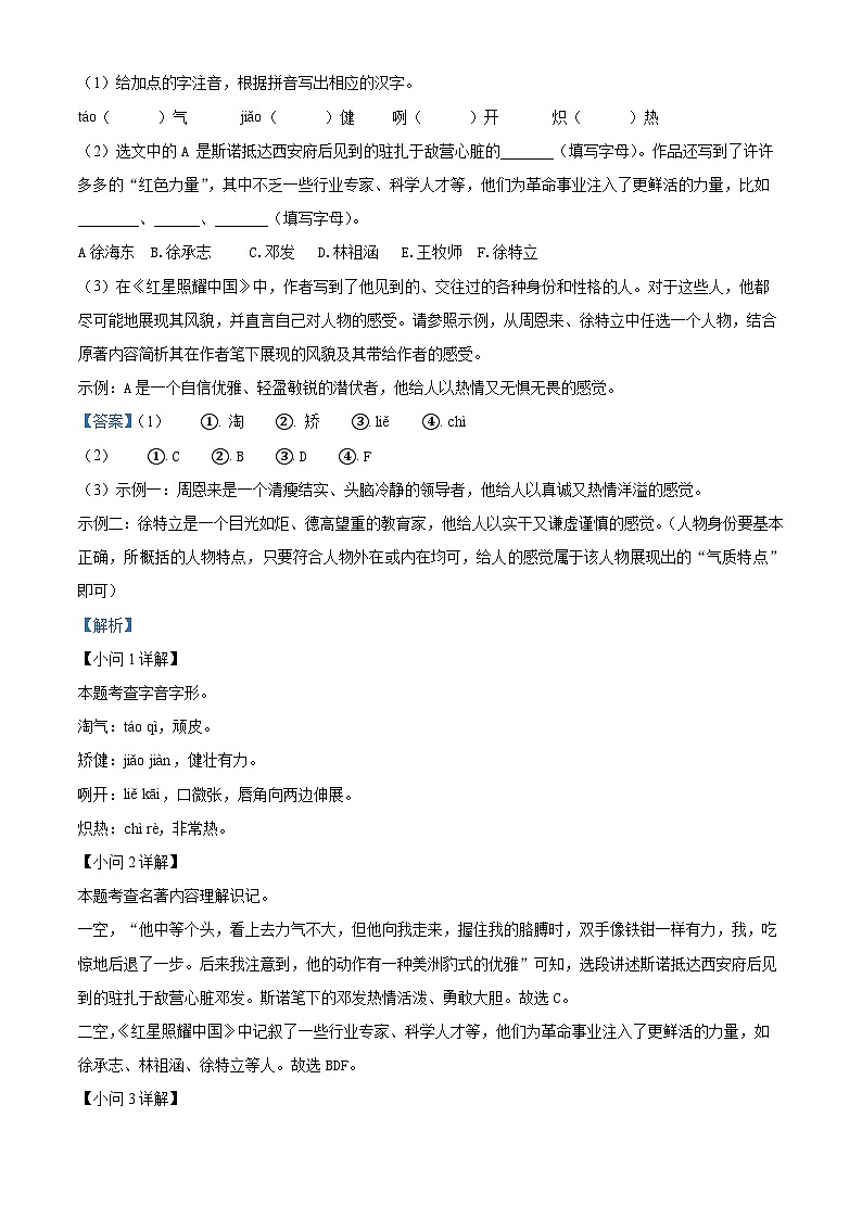 2024年安徽省宿州市萧县中考一模语文试题（原卷版+解析版）02
