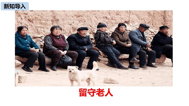 枣儿PPT课件6第4页