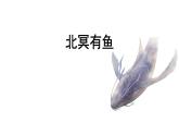 八下语文第六单元《北冥有鱼》同步课件