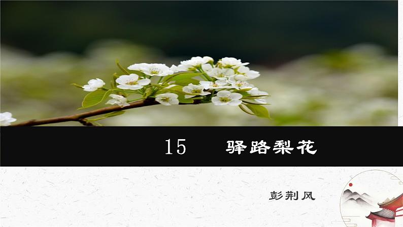 15《驿路梨花》教学课件-(同步教学)统编版语文七年级下册名师备课系列 (1)第1页