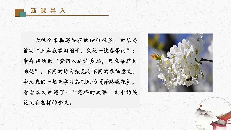 15《驿路梨花》教学课件-(同步教学)统编版语文七年级下册名师备课系列 (1)02