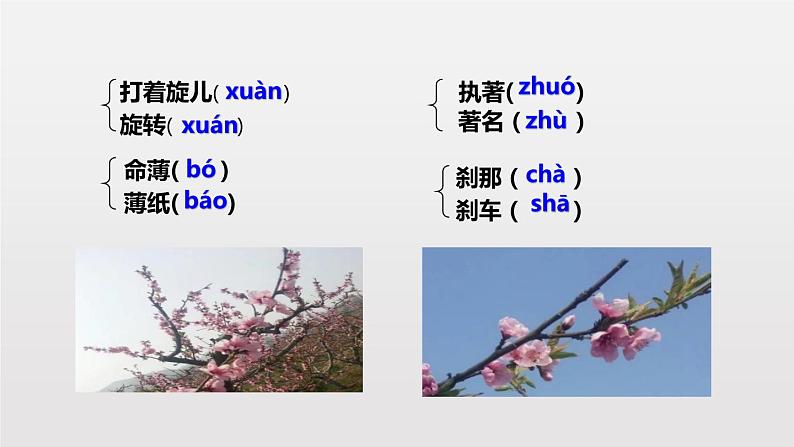 人教版语文七年级下册 一颗小桃树PPT课件6第7页