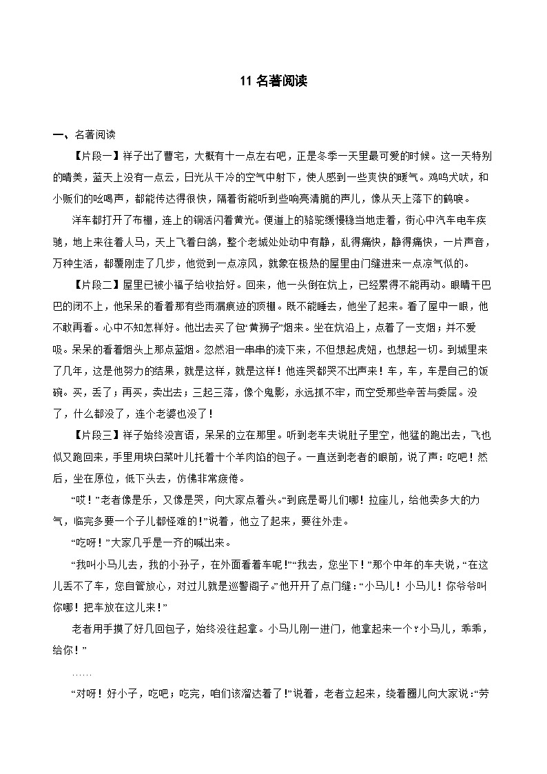 11名著阅读-七年级语文下册专题复习（原卷版）第1页