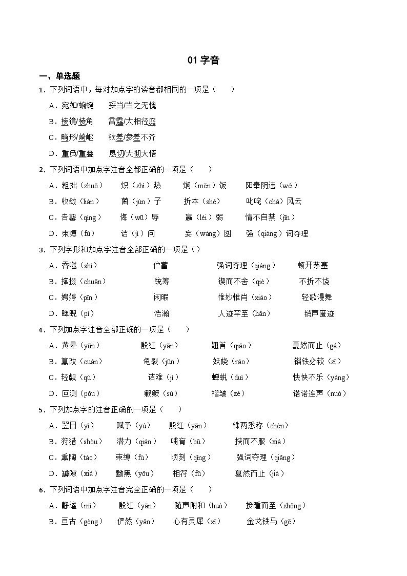 01字音-中考语文专题复习（原卷版）第1页