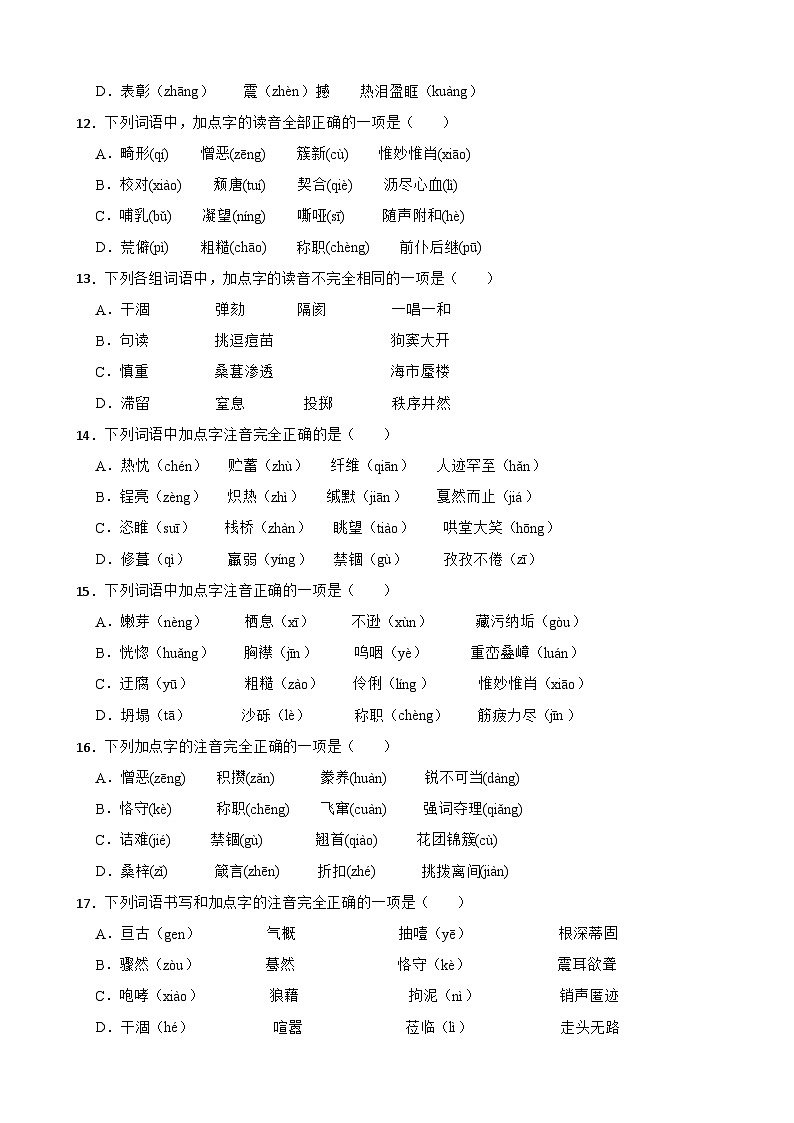 01字音-中考语文专题复习（原卷版）第3页
